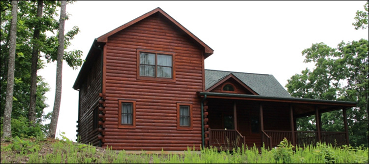 Professional Log Home Borate Application  Burnsville,  North Carolina